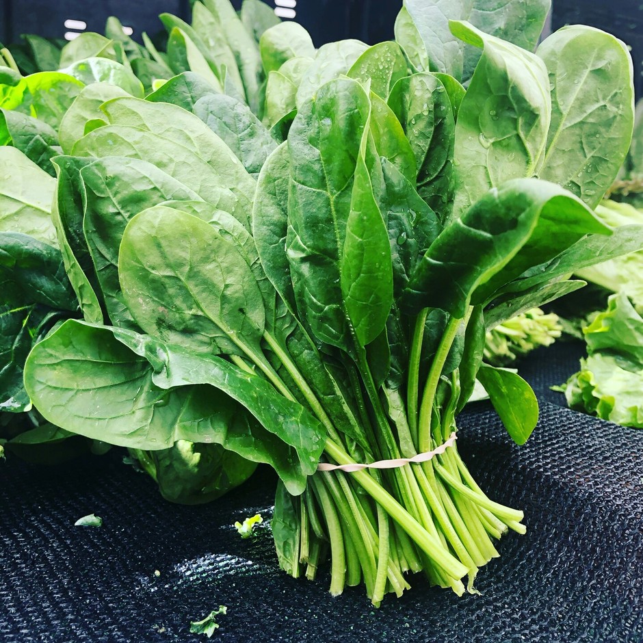 photo de Épinard 2bc68811