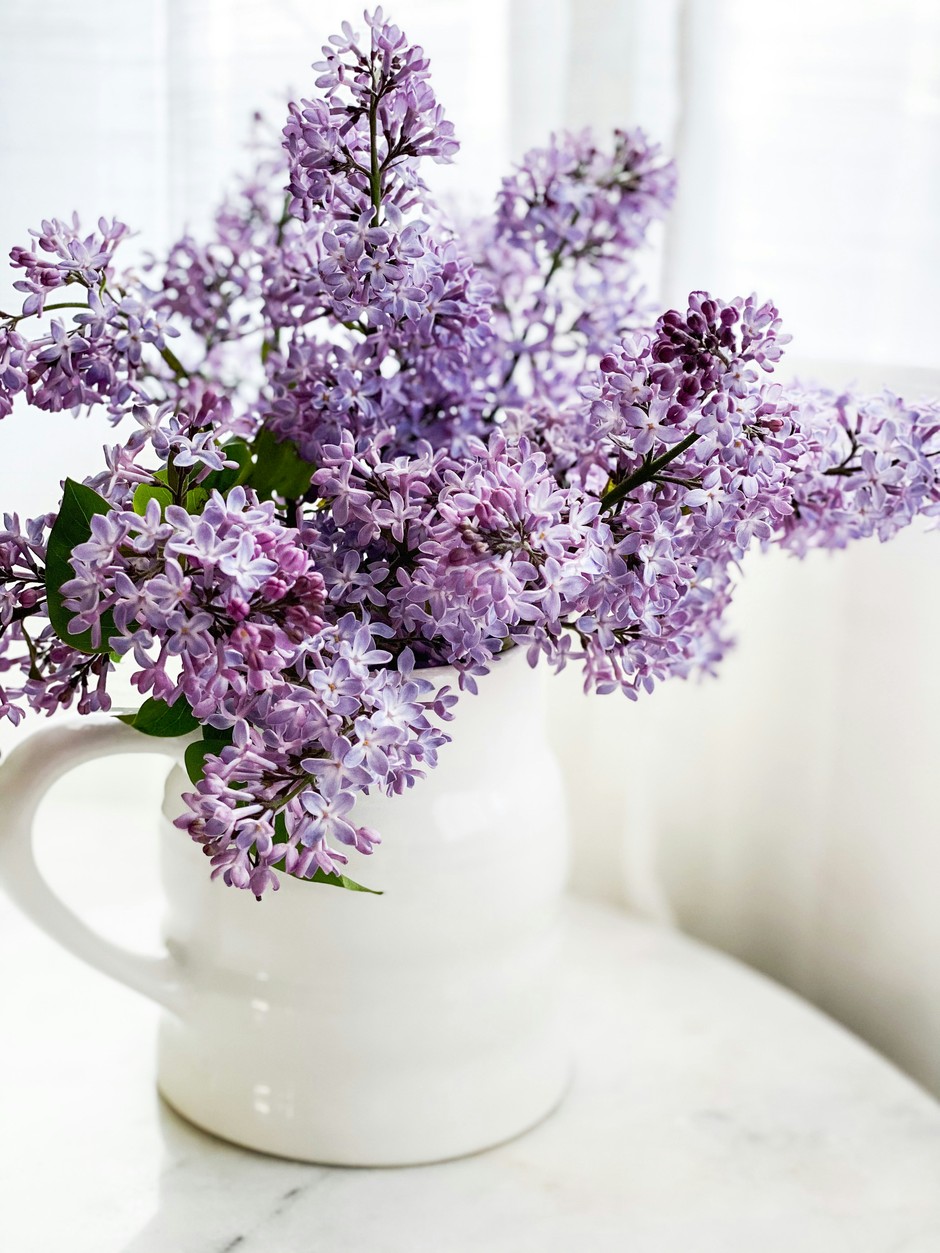 photo de Lilas e82ad0de