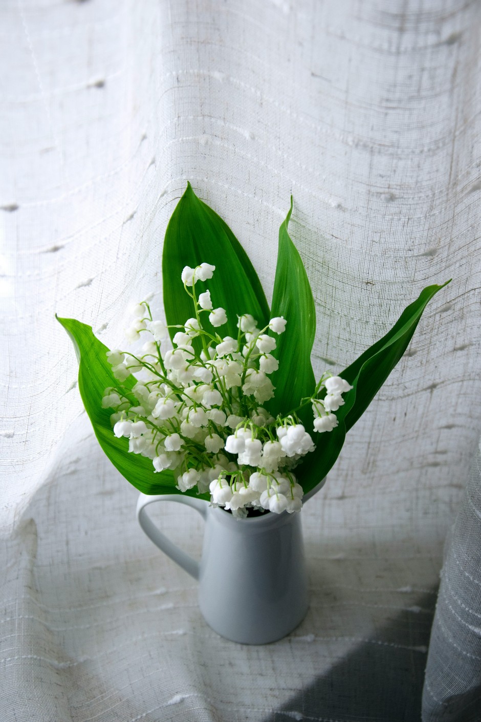 photo de Muguet 0c459207