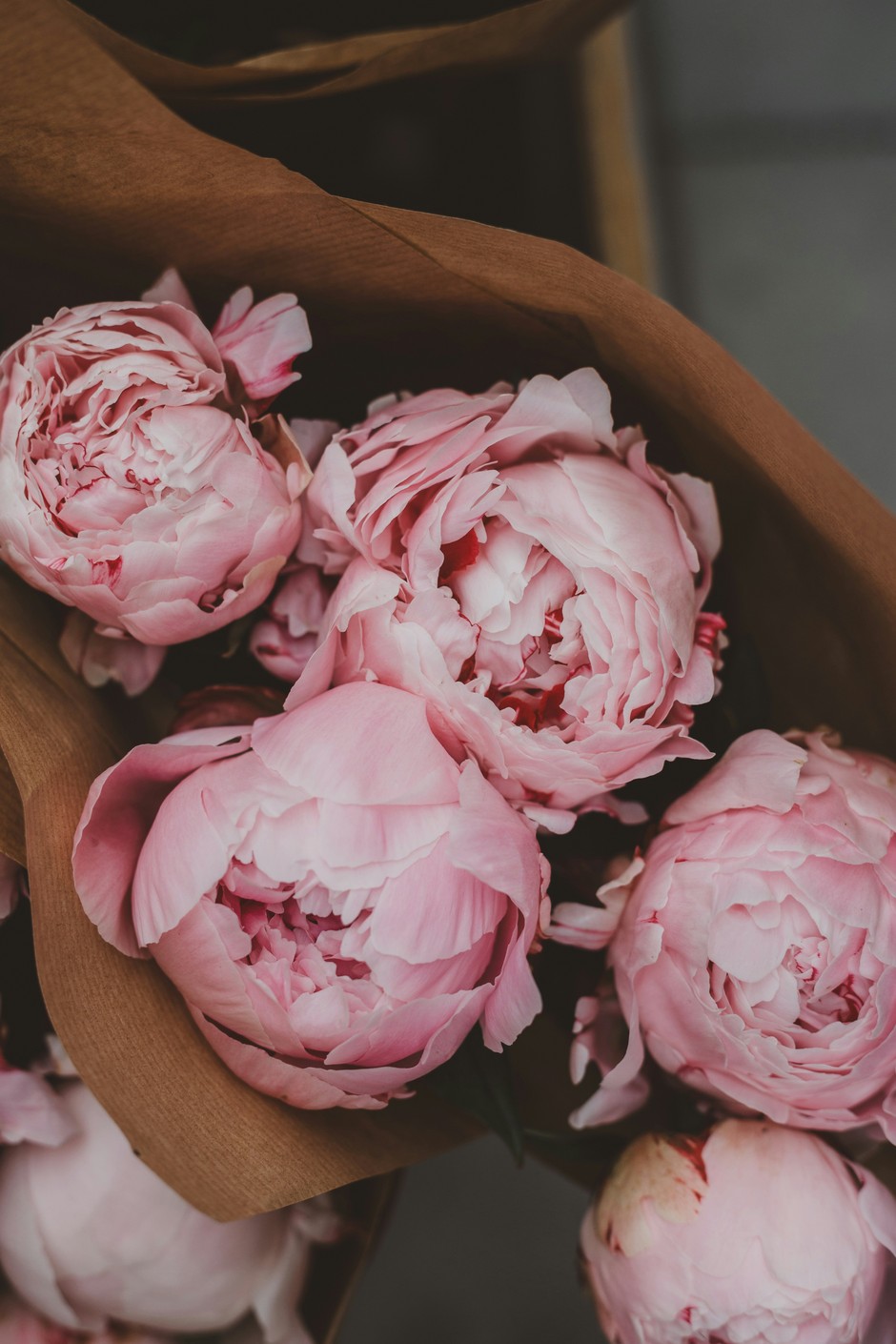 photo de Pivoine 5c405620