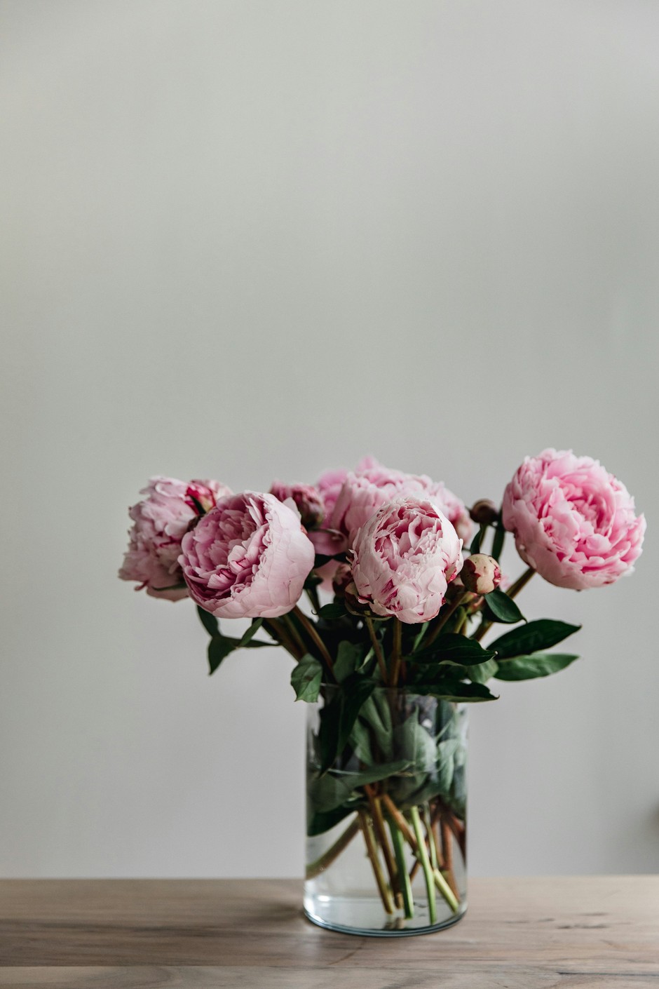 photo de Pivoine f4604e7a